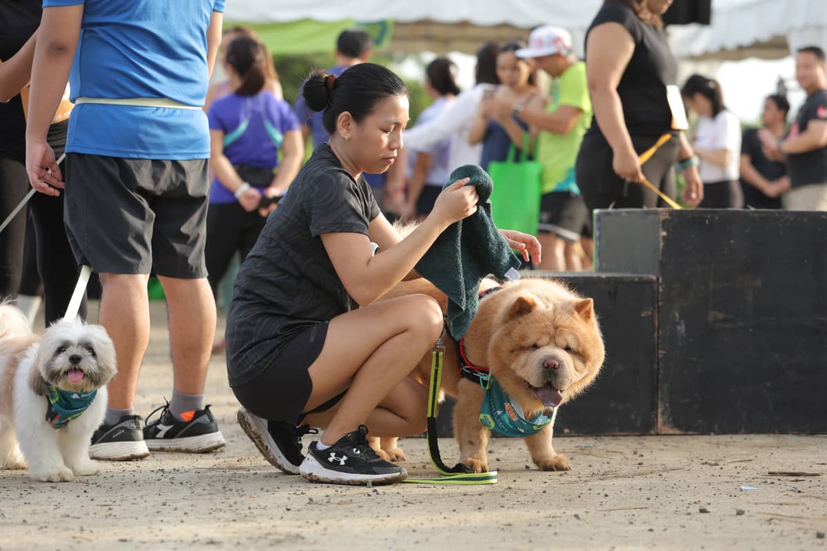 Paw-rents bond and exercise with their furry buddies at the Meadowcrest Backyard Adventure 1Km Pet Run.